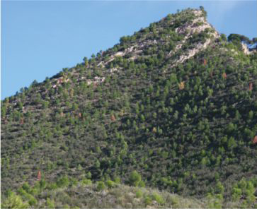 Daños extensos,
                                    grado 1