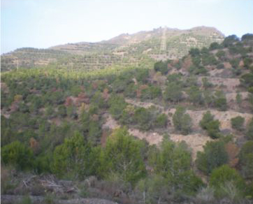 Daños extensos,
                                    grado 1