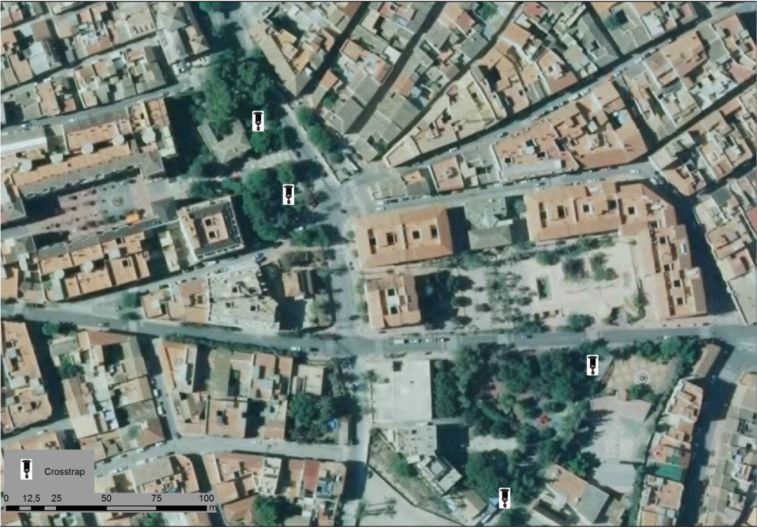 Ejemplo de instalación de trampas para DETECCIÓN Y SEGUIMIENTO